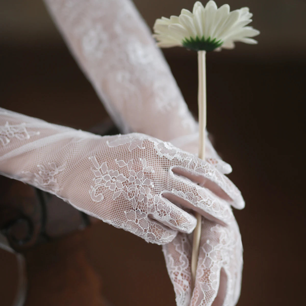 Long Lace Appliqué Bridal Gloves – Eyelash Edge Opera Gloves