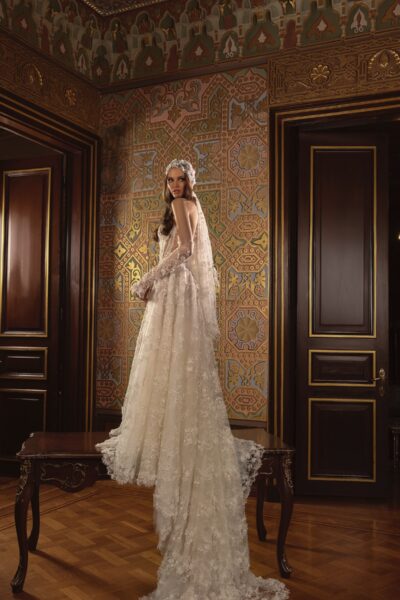 lace ball gown wedding dress with sheer corset bodice and lace sleeves