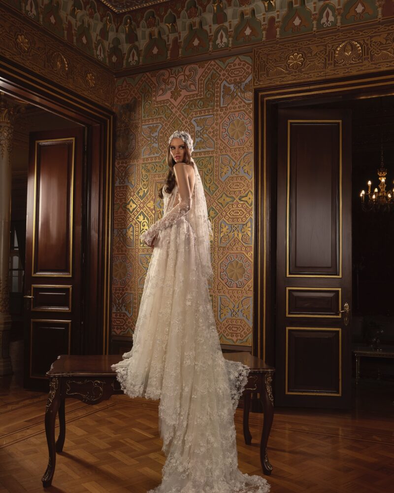 lace ball gown wedding dress with sheer corset bodice and lace sleeves
