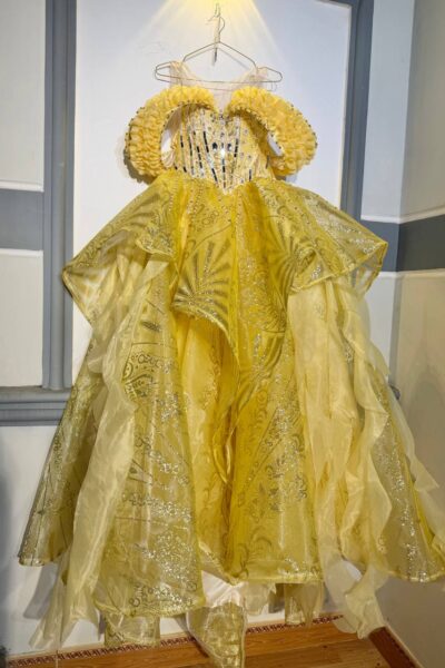 Gold Quinceañera Ball Gown – BG0001