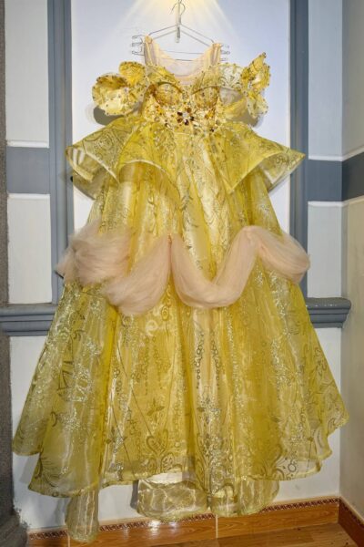 Gold Quinceañera Ball Gown – BG0008