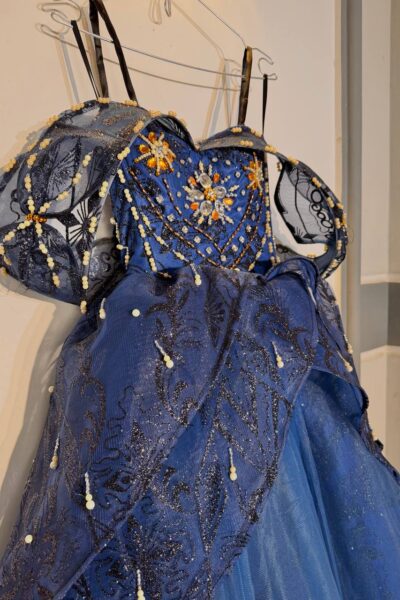Royal Blue Quinceañera Ball Gown – BG0019